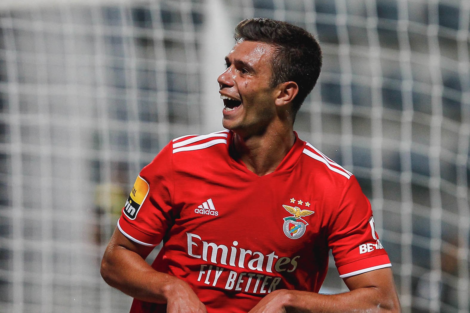 Henrique Araújo eleito jogador do ano da Liga Portugal SABSEG